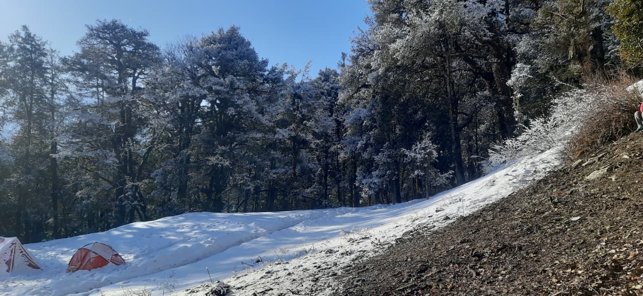 TrekNova trail photo 43