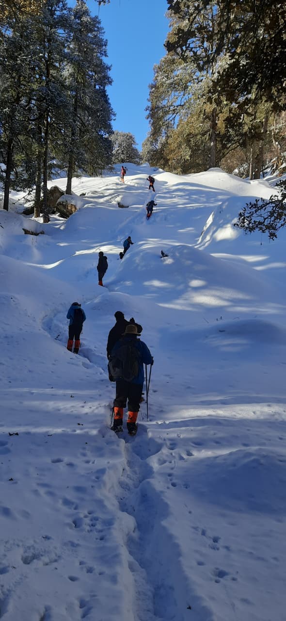 TrekNova trail photo 47