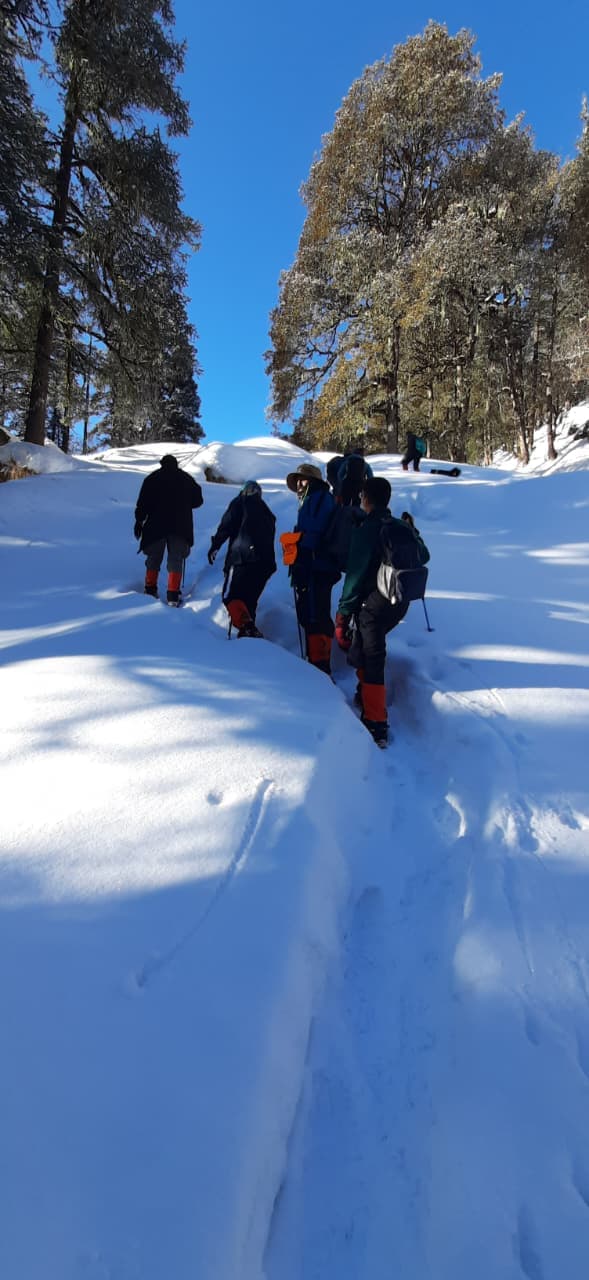 TrekNova trail photo 48
